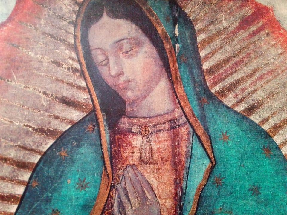 senora guadalupe